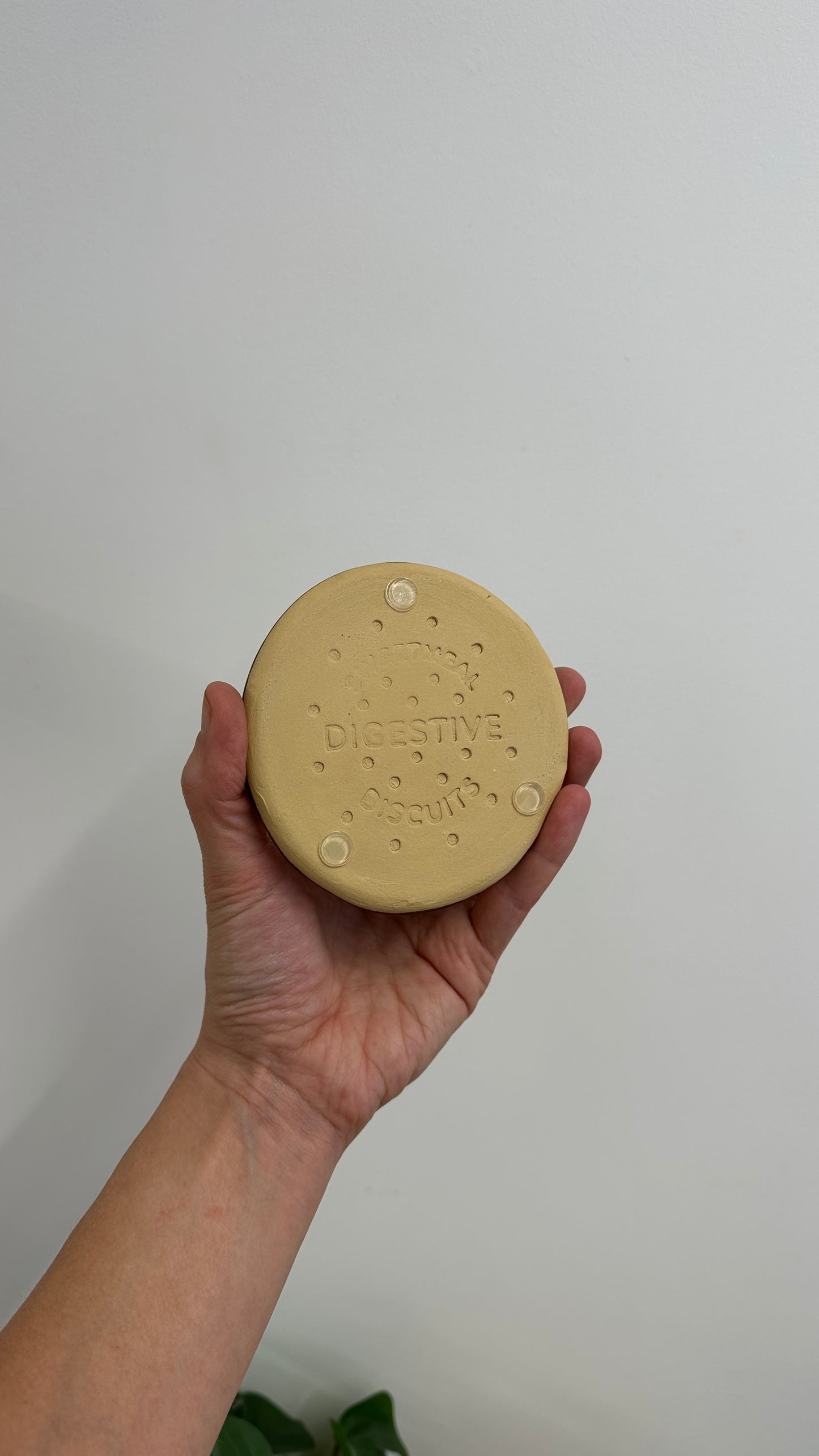 COASTERS SECONDS SALE ✨